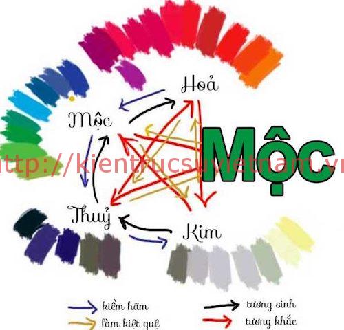 menh moc hop mau gi