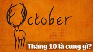 Sinh tháng 10 cung gì