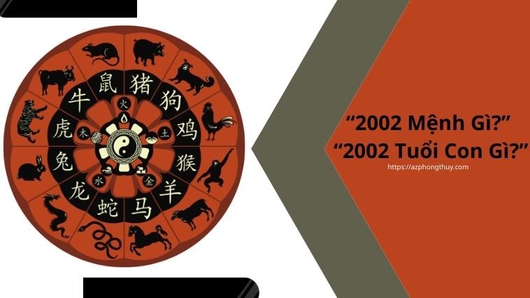 2002 mệnh gì